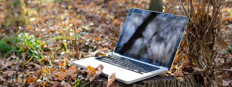 best laptops for working remotely thumbnail